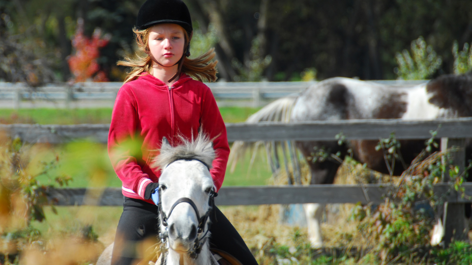 Young girl sits on a small white pony. Field with the backend of a horse in the background.
