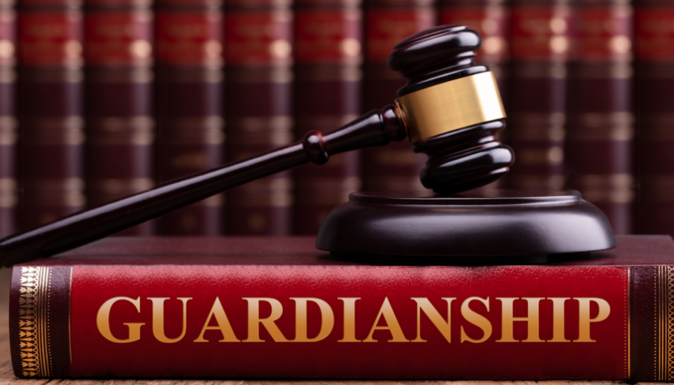 Image of a book spine with the words 